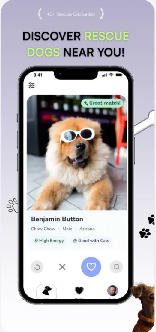 Clover Dogs app: discover rescue dogs near you